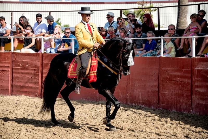 Fuengirola: Spanish Horse Show with Optional Dinner/Flamenco - Who will enjoy this Spanish night most?