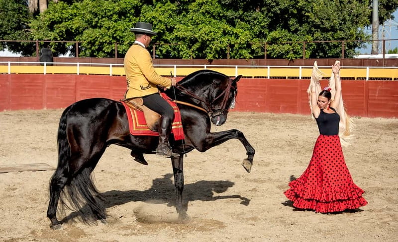 Fuengirola: Spanish Horse Show with Optional Dinner/Flamenco - Free time, mini-golf, and the terrace