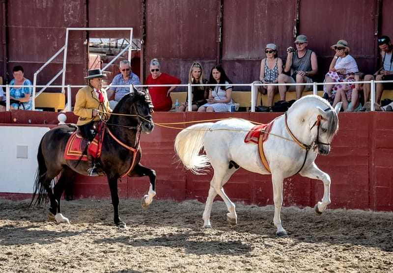 Fuengirola: Spanish Horse Show with Optional Dinner/Flamenco - Getting there by bus from the Costa del Sol