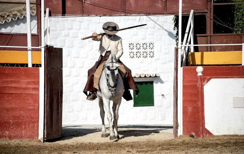 Fuengirola: Spanish Horse Show with Optional Dinner/Flamenco - Why the Cartujano horses matter
