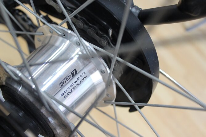 Full Day Bike Rental in Malaga - What the service feels like