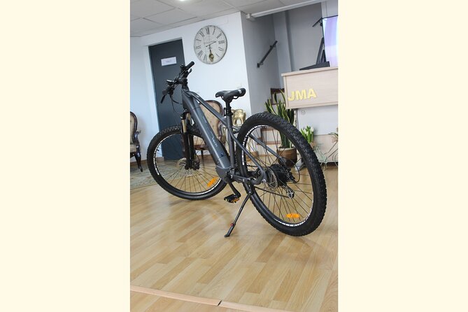 Full Day Rental of Electric Mountain E-Bike - Taking on Gibralfaro