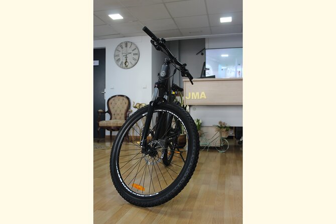 Full Day Rental of Electric Mountain E-Bike - Riding toward Montes de Malaga