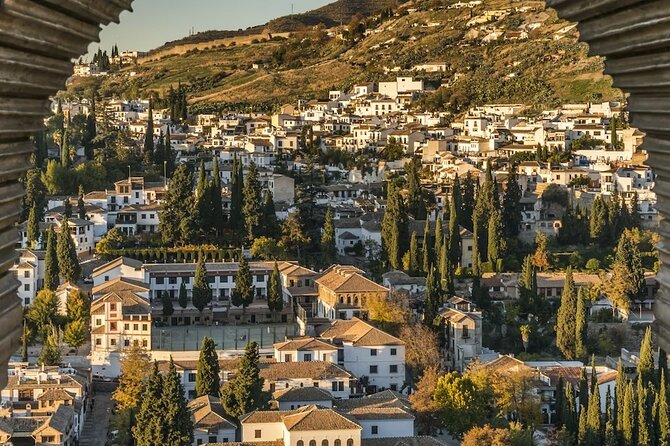 Full-Day Trip to Granada from Malaga with Private Guide - Key points at a glance