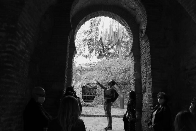 Get to know Malaga like a Local : Private Walking Tour - Malaga Cathedral is an exterior lesson