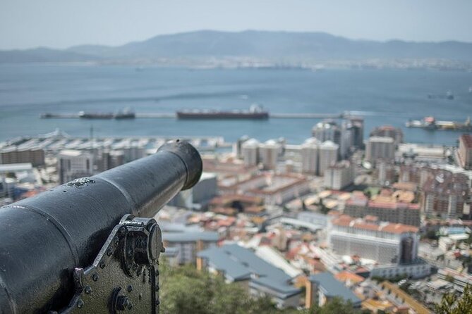 Gibraltar Small Group Tour from Malaga - Meeting Gibraltar’s famous apes
