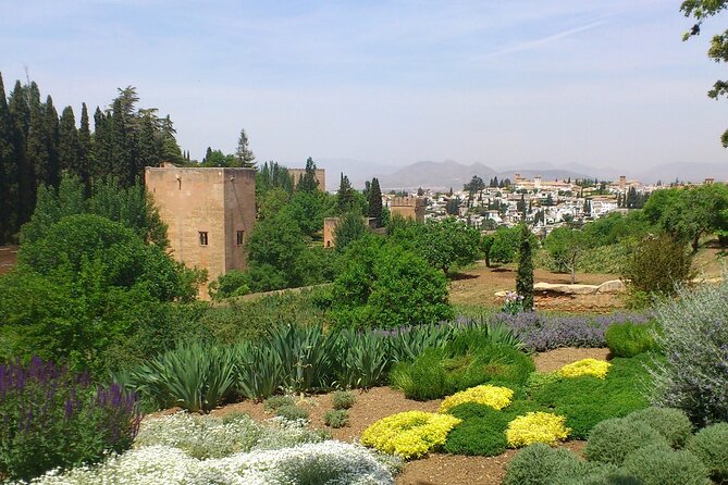 Granada Full Day Tour From Malaga - How much walking and waiting should you expect?