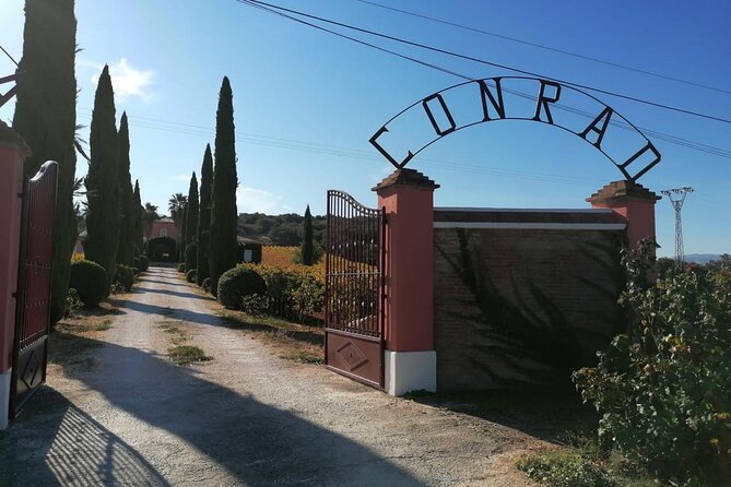Guided Cellar Tour and wine tasting - From Malaga’s city streets to Ronda’s wine country
