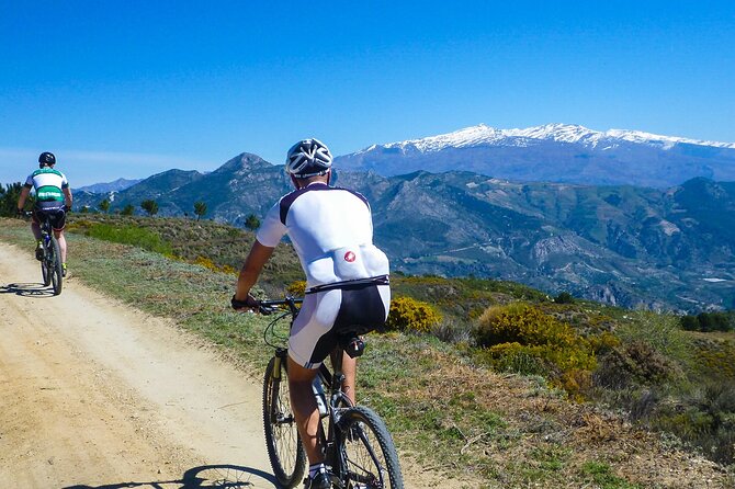 Guided Mountain Bike Adventure - Key points to know before you book