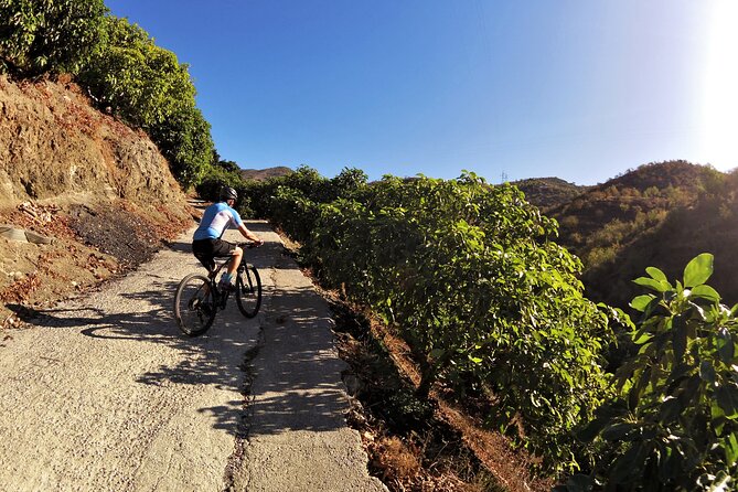 Guided Mountain Bike Adventure - Practical booking advice for the ride