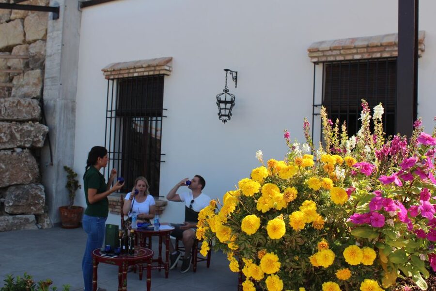 Guided tour and oil tasting at the Aceites Molisur factory - The modern production area and warehouse
