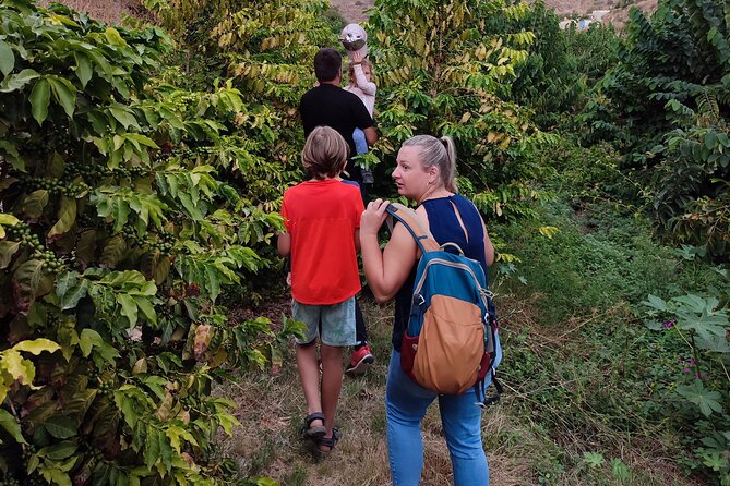 Guided Tour to the only coffee farm in Europe - Wildlife is possible, not guaranteed