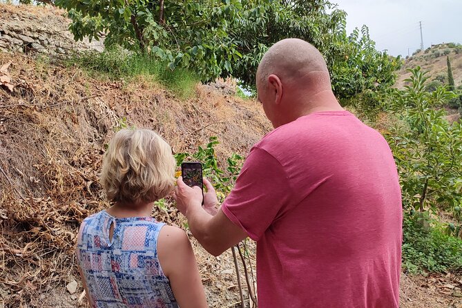 Guided Tour to the only coffee farm in Europe - Buying fruit and farm products at the end