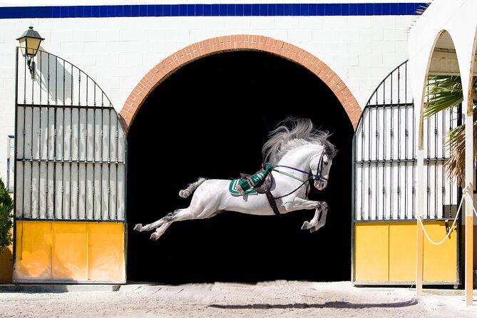 Horse and Flamenco Show in Malaga - What the 90-minute show is really about