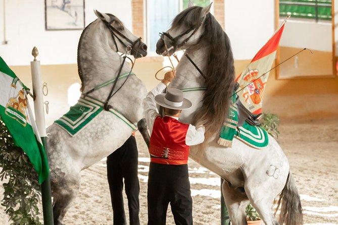 Horse and Flamenco Show in Malaga - Before the arena, take time at the stables