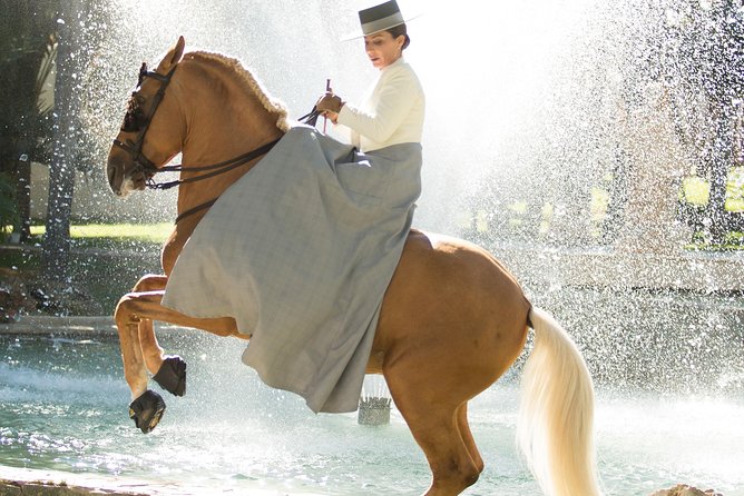 Horse and Flamenco Show in Malaga - Is $41.03 a fair price?