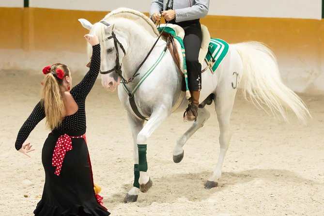 Horse and Flamenco Show in Malaga - What horse lovers should consider carefully