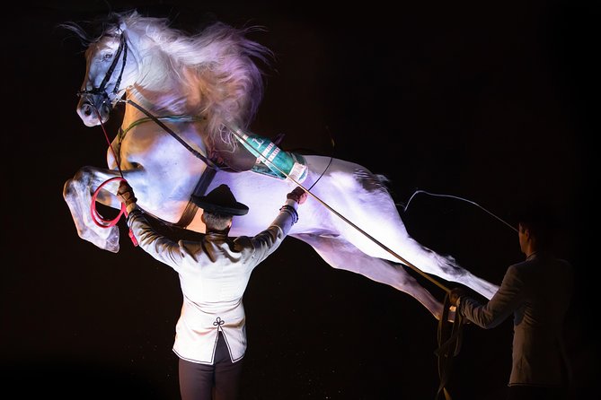 Horse and Flamenco Show in Malaga - Getting there and planning the evening