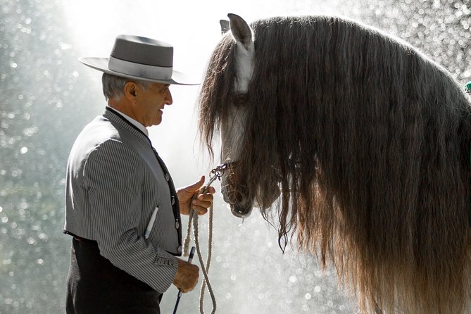 Horse and Flamenco Show in Malaga - Who should book this experience