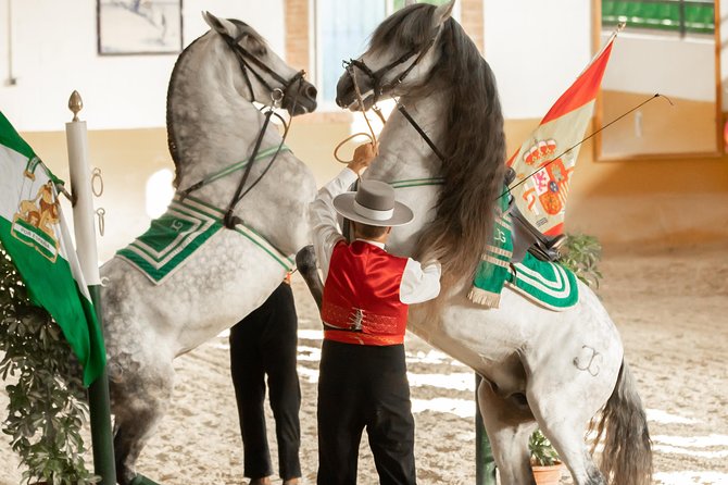 Horse and Flamenco Show in Malaga with Dinner - An Andalusian evening built around horses, food, and flamenco