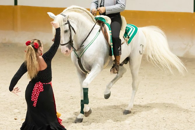 Horse and Flamenco Show in Malaga with Dinner - José Lucena’s flamenco company closes the night