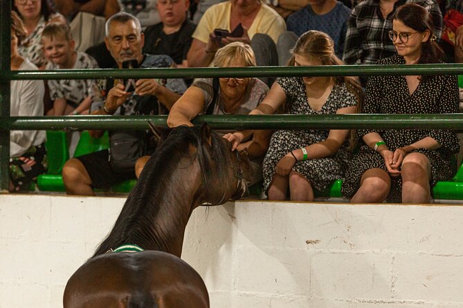 Horse and Flamenco Show in Malaga with Dinner - Is $86.57 a fair price?