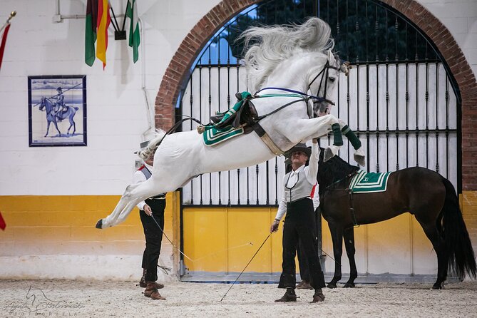 Horse and Flamenco Show in Malaga with Dinner - Who will enjoy this five-hour programme?