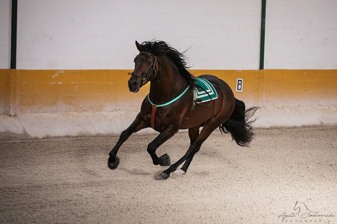 Horse and Flamenco Show in Malaga with Dinner - Arriving at Club Hípico El Ranchito before 5:45 pm