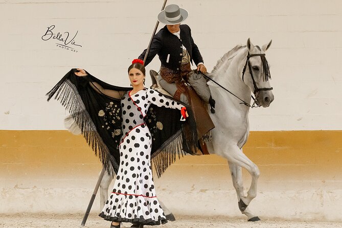 Horse and Flamenco Show in Malaga - The equestrian ballet at 17:45