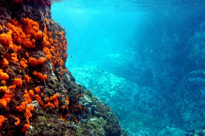Kayak & Snorkel Tour in Cerro Gordo Natural Park, La Herradura - Key points to know before you book