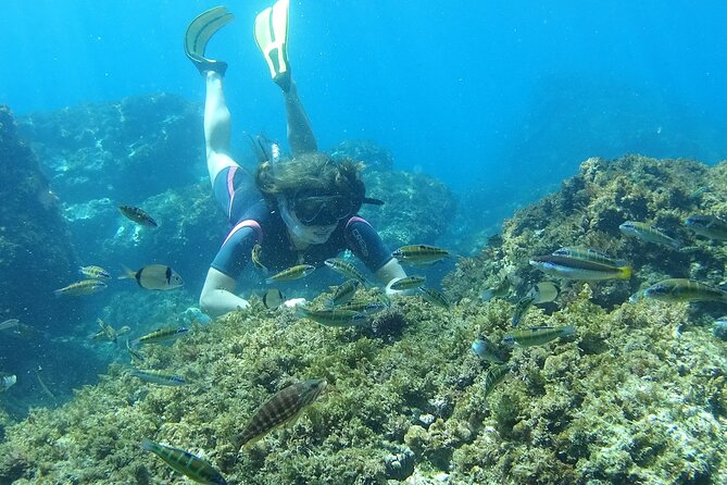 Kayak & Snorkel Tour in Cerro Gordo Natural Park, La Herradura - Snorkeling in protected coastal water