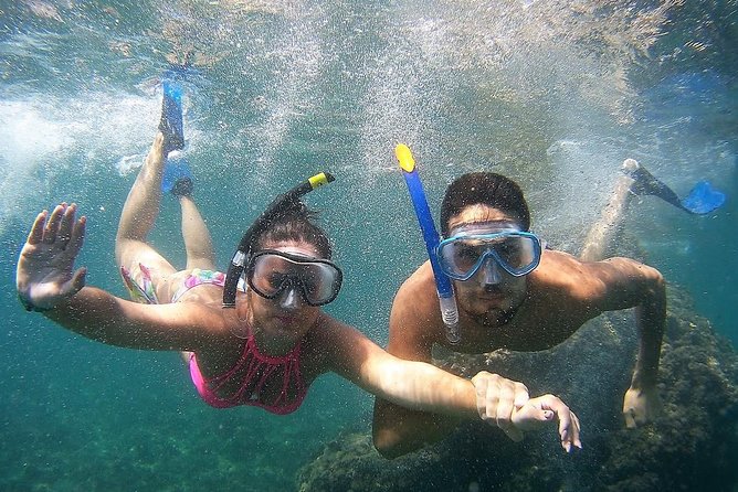Kayak & Snorkel Tour in Cerro Gordo Natural Park, La Herradura - Who will enjoy this La Herradura tour?