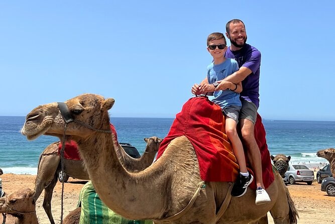 Luxury Malaga to Tangier Day Trip: Transfer, ferry, camel & Souks - The Bouhachem question needs an answer