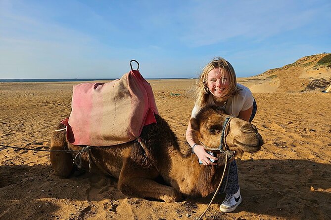 Luxury Malaga to Tangier Day Trip: Transfer, ferry, camel & Souks - Three hours among Tangier’s souks and Medina