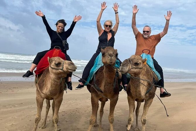 Luxury Tangier Private Day Tour from Malaga All inclusive - Crossing the Strait of Gibraltar