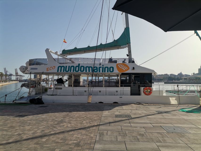 Malaga: A Sea of Stars Nighttime Stargazing Catamaran Tour - Leaving Malaga’s port after dark