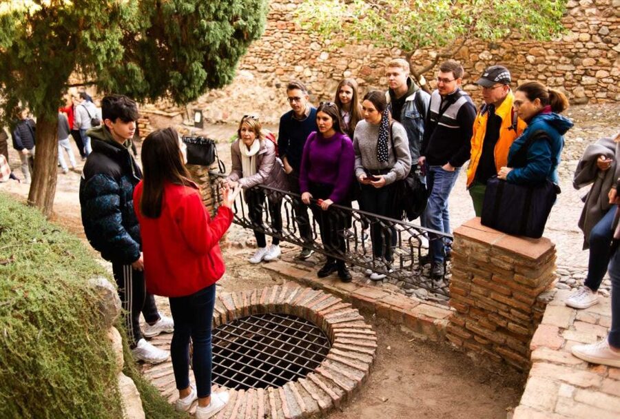 Málaga: Alcazaba and Roman Theatre Guided Tour With Entry - Courtyards, gardens, and Moorish design