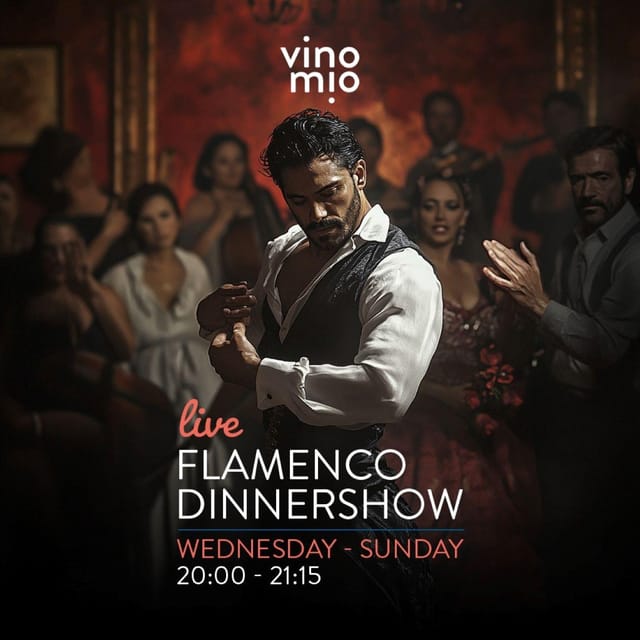 Malaga: Authentic Flamenco Dinner Show at Vino Mio - What the Vino Mio Flamenco Show Actually Offers