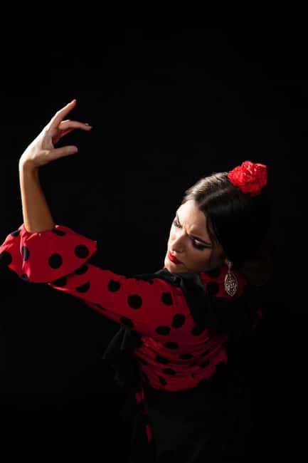 Malaga: Authentic Flamenco Dinner Show at Vino Mio - The Natural Sound of Voice, Guitar, and Footwork