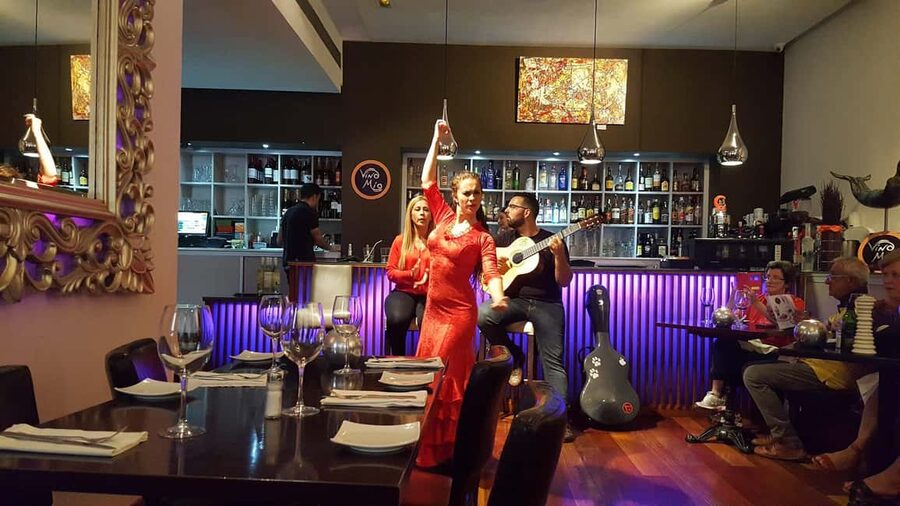 Malaga: Authentic Flamenco Dinner Show at Vino Mio - Who Will Enjoy This Experience Most