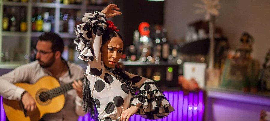 Malaga: Authentic Flamenco Dinner Show at Vino Mio - Should You Book Vino Mio’s Flamenco Dinner Show?