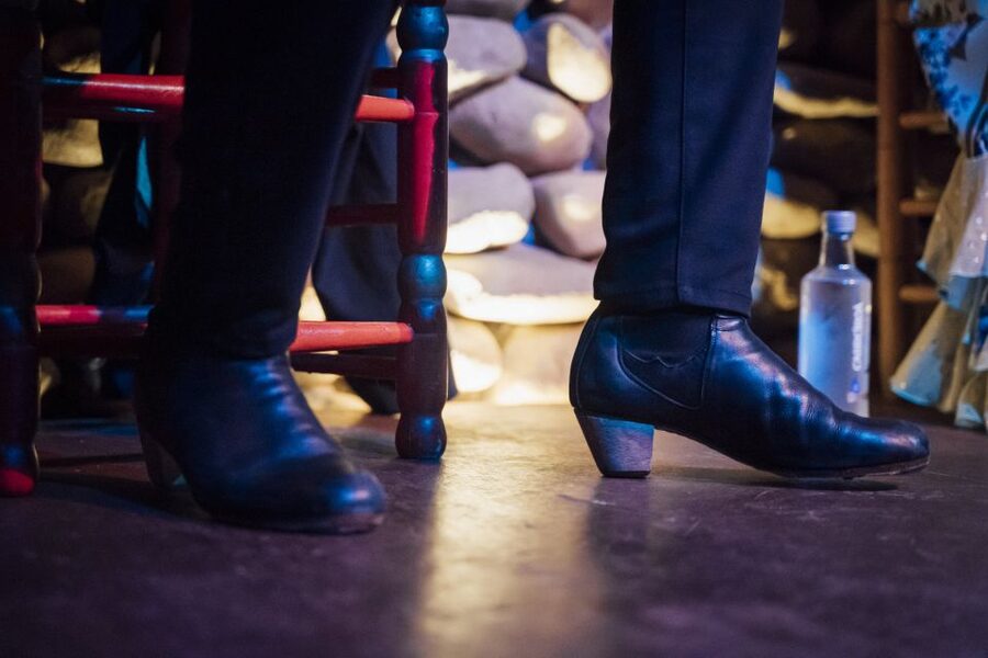 Malaga: Authentic Flamenco Show at El Gallo Ronco - The performers and the flamenco style