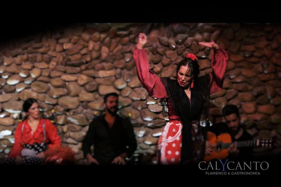 Malaga: Authentic Flamenco Show at El Gallo Ronco - What happens during the one-hour performance