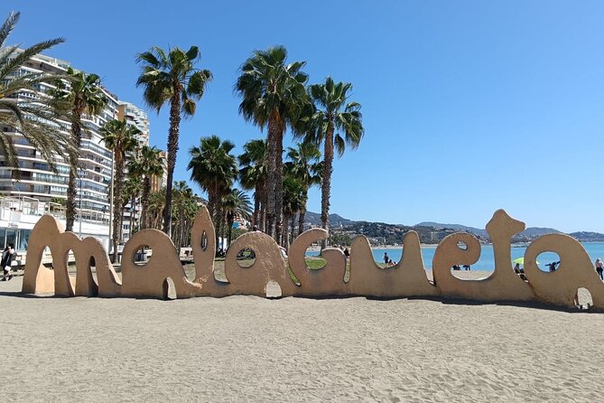 Malaga Bike Tour - Wine & Tapas - Picasso Museum and Malaga’s artistic side