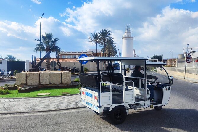 Malaga by Tuk Tuk i : 1 or 2 hours Private city tour - Málaga City Council and the central city