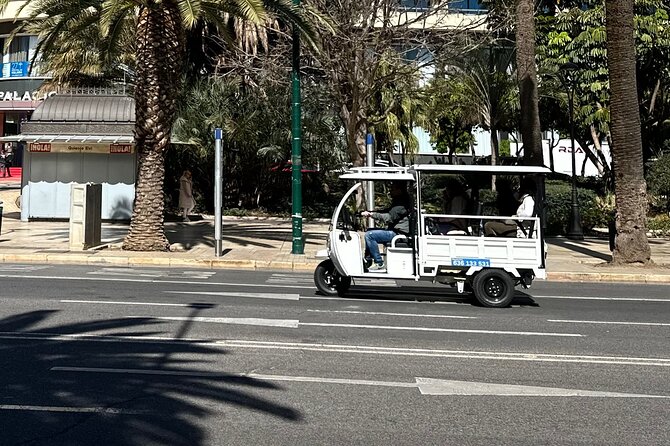Malaga by Tuk Tuk i : 1 or 2 hours Private city tour - Malagueta Beach and Málaga’s seafront