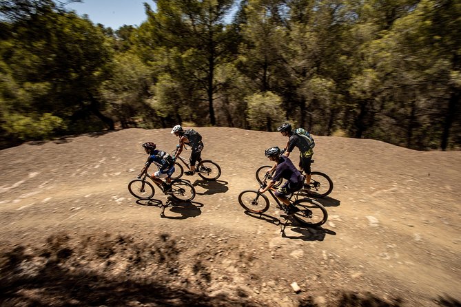 Malaga E-MTB Tour: Botanical Garden, Natural Park and Port of Malaga - Starting at 10:00 in central Malaga
