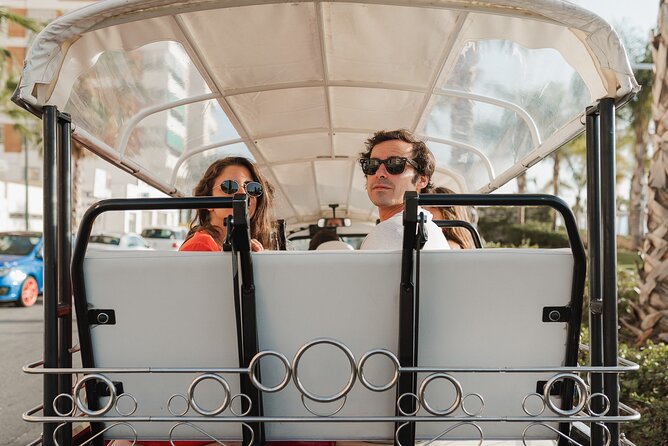 Malaga Expert Tour with Local Guide in Eco Tuk Tuk Private - Civic buildings and the university