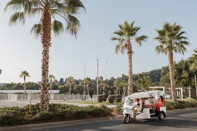 Malaga Express Tour with Local Guide in Eco Tuk Tuk Private - Centre Pompidou and Malaga’s modern side