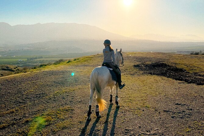 Malaga - guided horseback riding - The route beside the Cañuelo stream